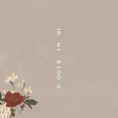 Download Lagu Shawn Mendes, Teddy Geiger, Geoff Warburton, Scott Harris - In My Blood.mp3