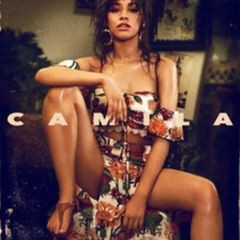 Download Lagu Camila Cabello - In The Dark.mp3