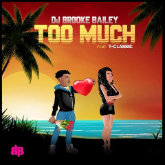 Download Lagu DJ Brooke Bailey ft T-Classic - Too Much.mp3