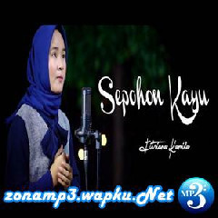 Download Lagu Fitriana Kamila - Sepohon Kayu.mp3