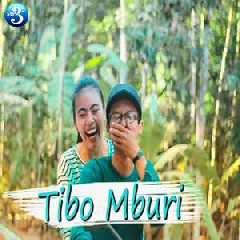 Download Lagu Ndarboy Genk - Tibo Mburi.mp3